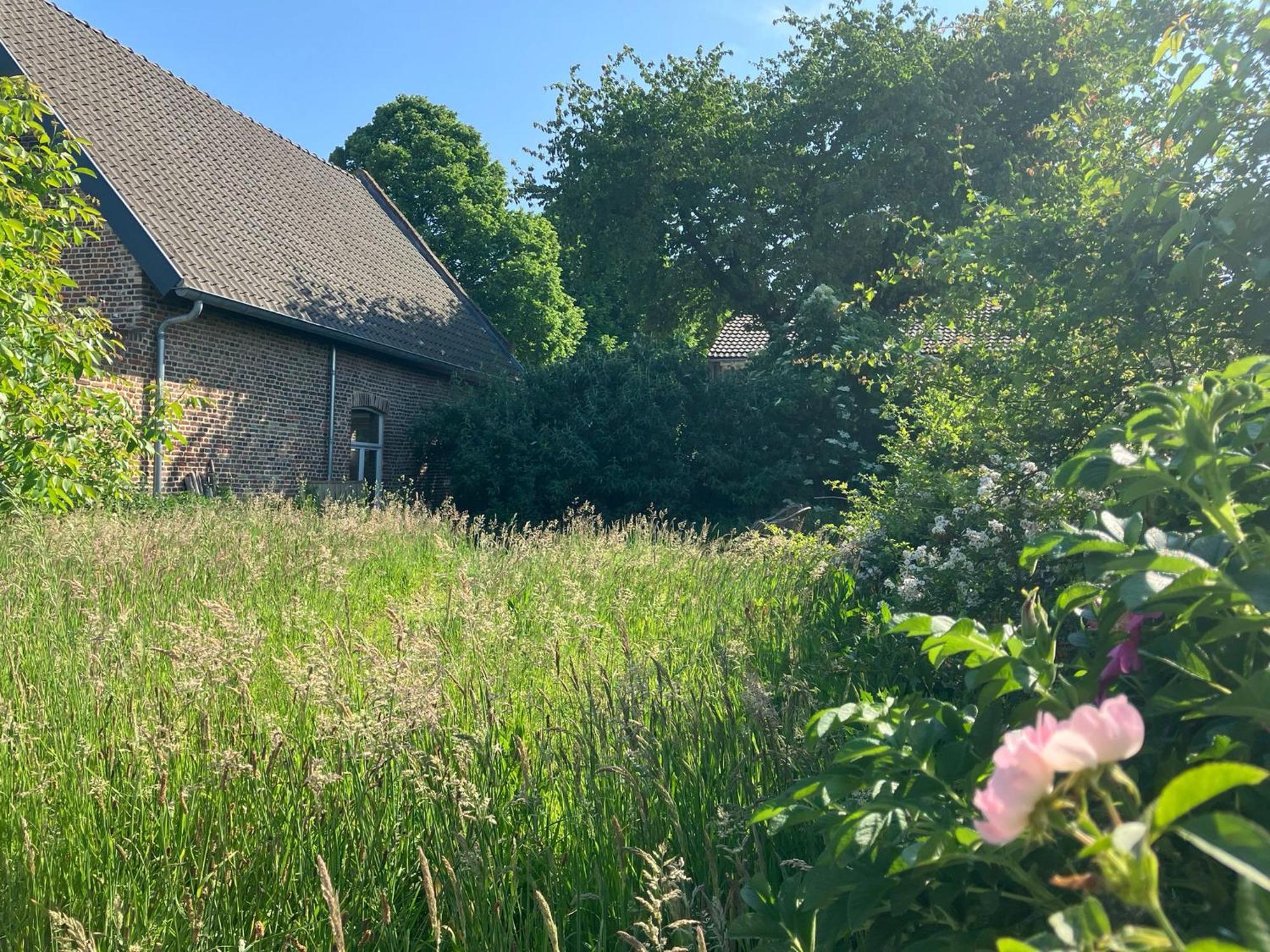 Tanti Baci! Bed & Breakfast Maastricht Eksteriør bilde